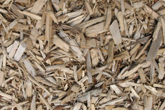 biomass boilers Barassie